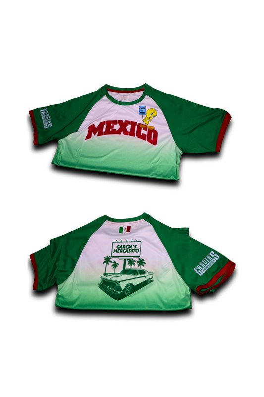 ⋆⁺₊⋆ORGULLO VERDE MÉXICO JERSEY☀︎ ⋆⁺₊⋆