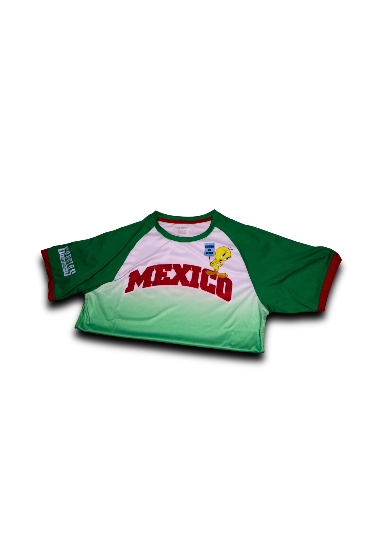 ⋆⁺₊⋆ORGULLO VERDE MÉXICO JERSEY☀︎ ⋆⁺₊⋆